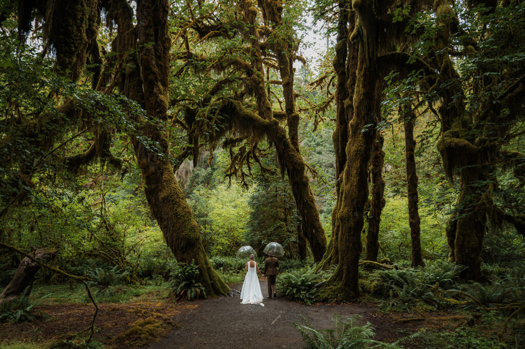 couple holding umbrellas and walking through the Hoh Rainforest on their elopement day in Olympic National Park