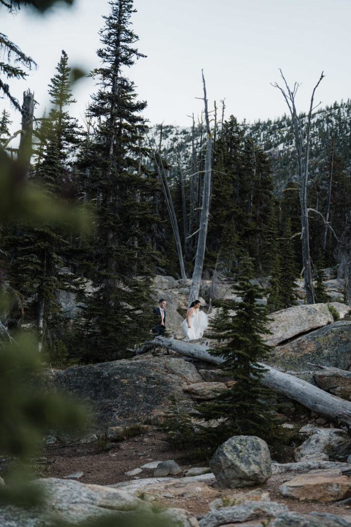 A couple walking through the meadow during their North Cascades National Park elopement.