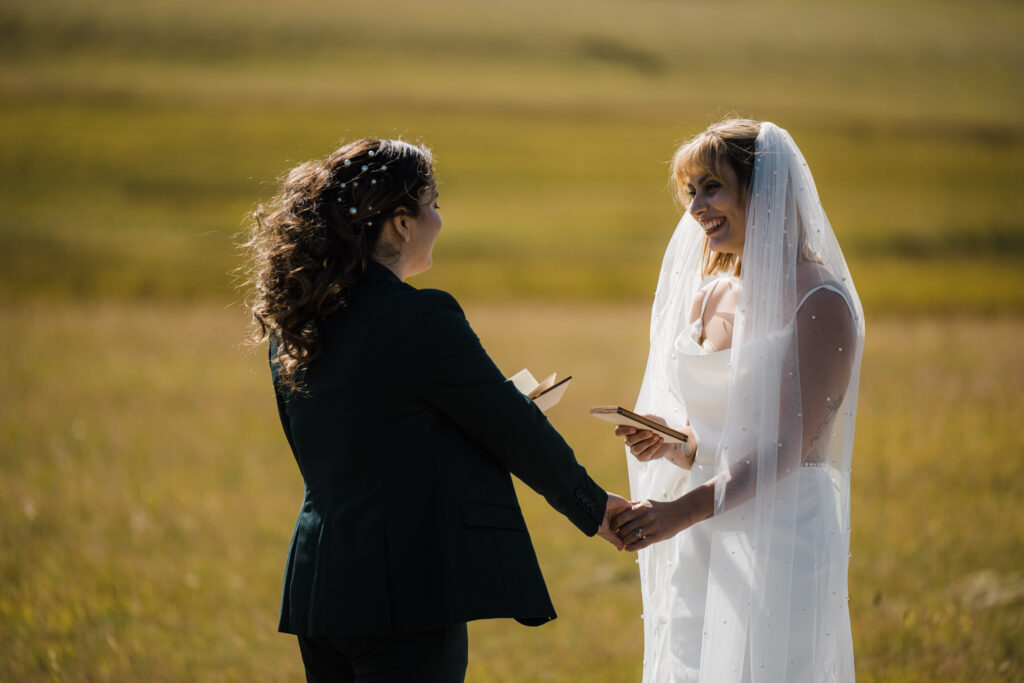 couple getting married in a field in Iceland