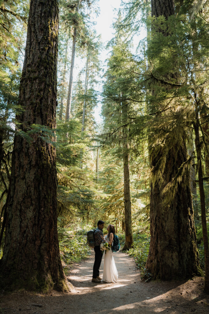 forest elopement in Olympic National Park