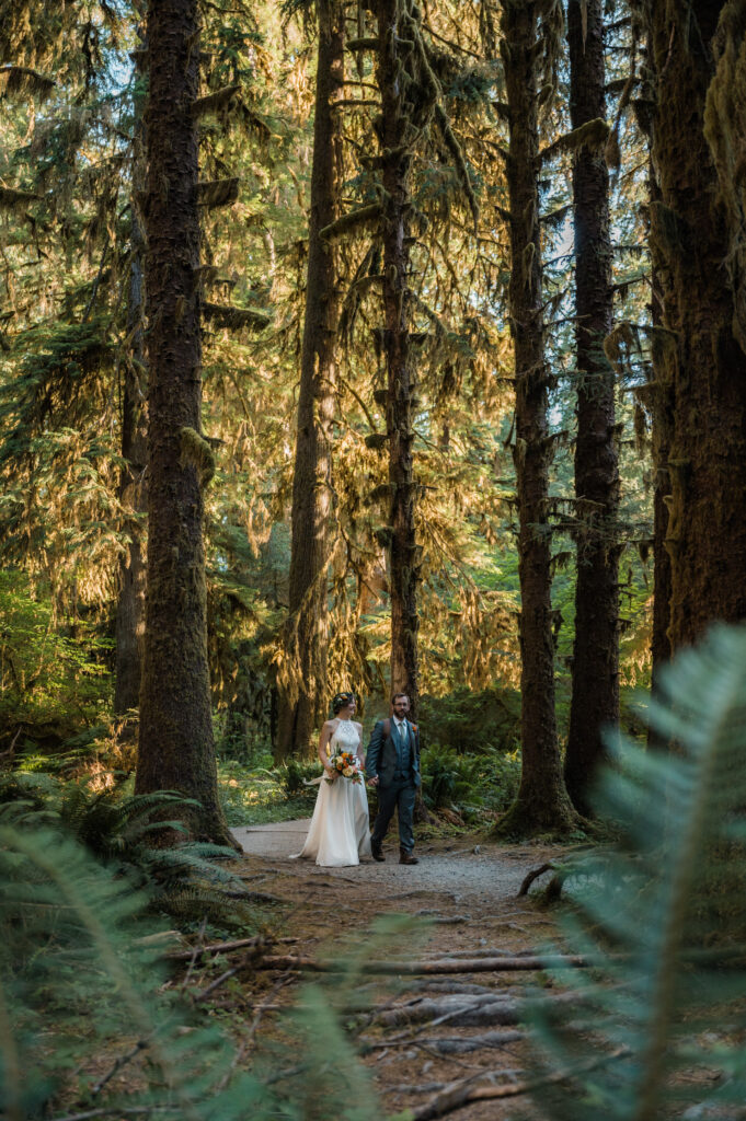 Couple hiking through the Hoh Rainforest during their elopement day at Olympic National Park