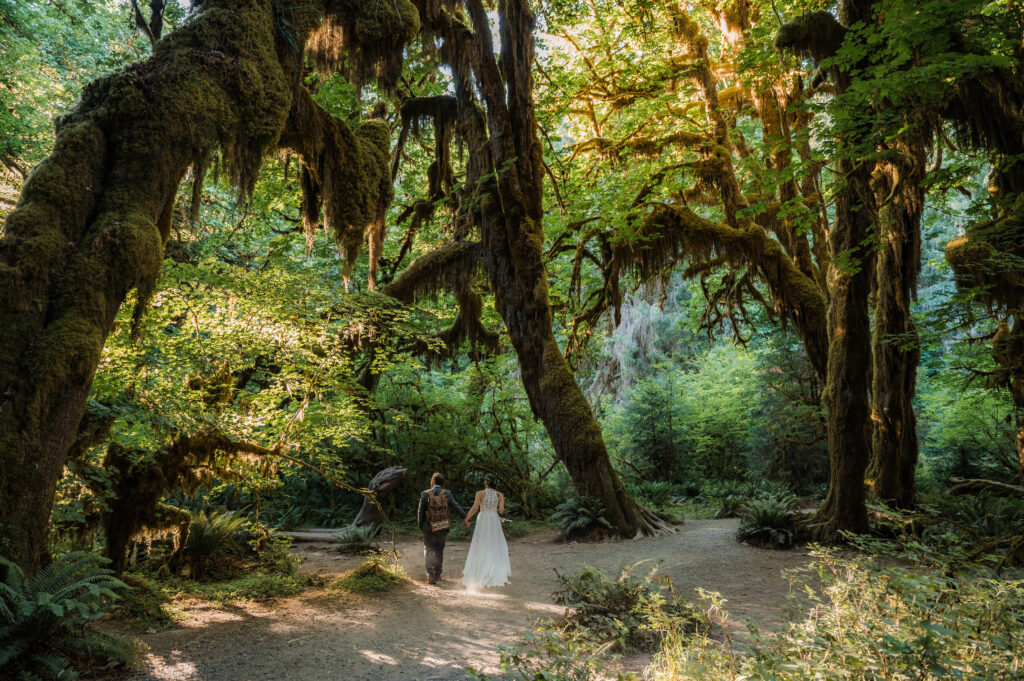 Couple wandering around the Hall of Mosses in Olympic National Park as part of their elopement day 