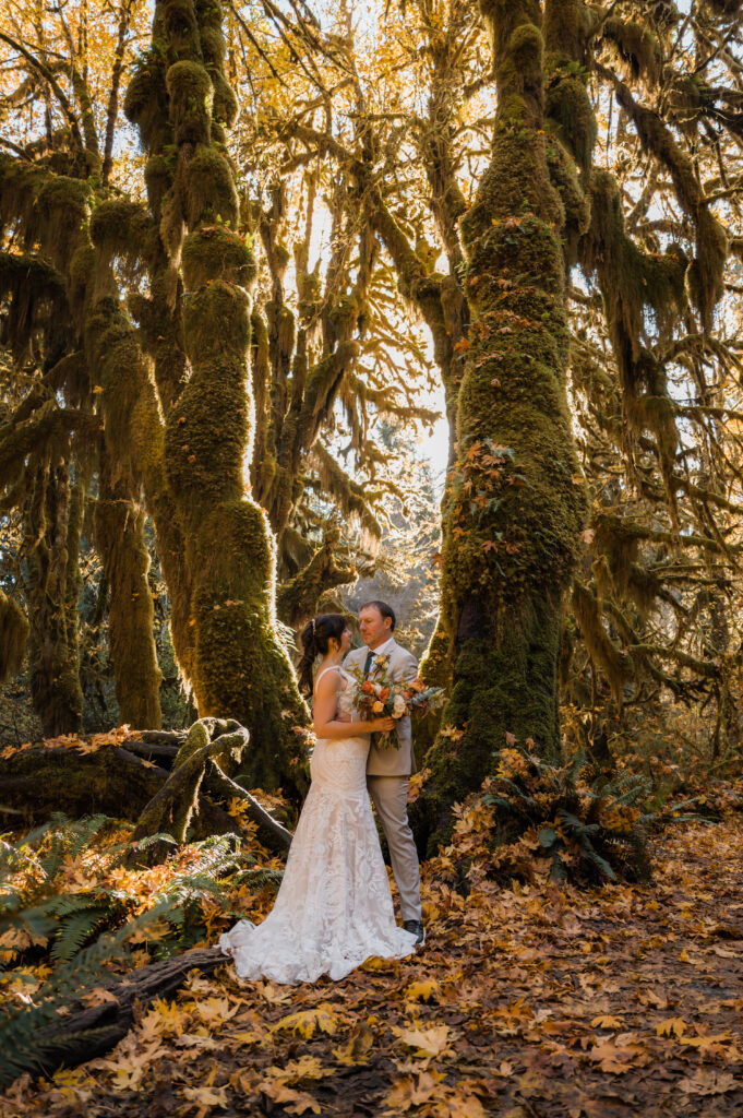 bride and groom in the Hoh Rainforest in October