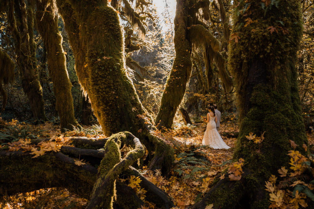bride and groom walking through the Hoh Rainforest during their fall elopement day in Olympic National Park