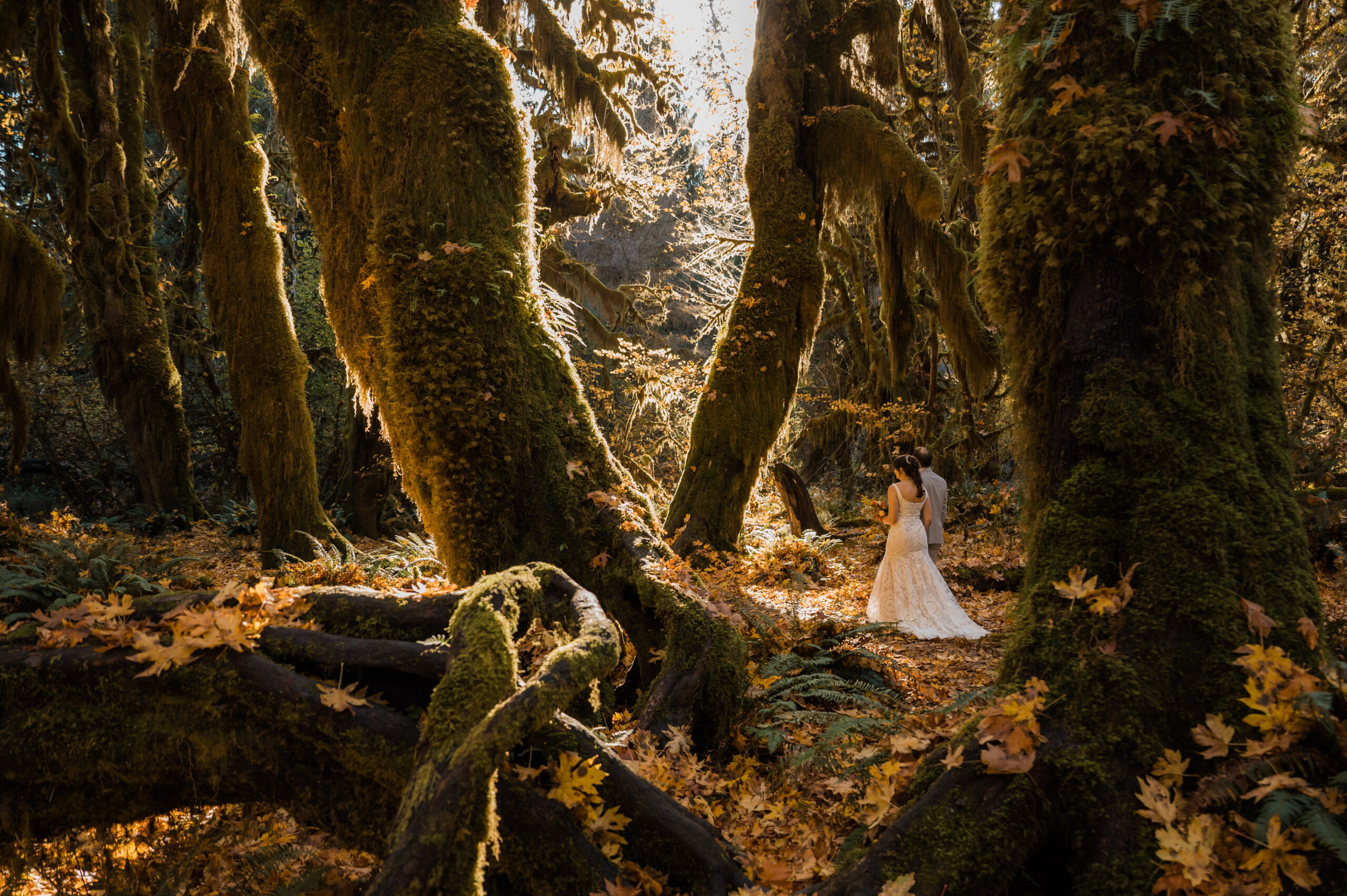 bride and groom walking through the Hoh Rainforest during their fall elopement day
