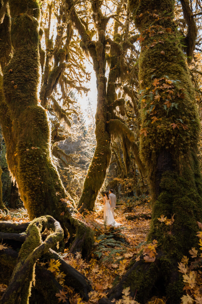 couple hiking through the Hoh Rainforest on their elopement day in the fall in Olympic National Park