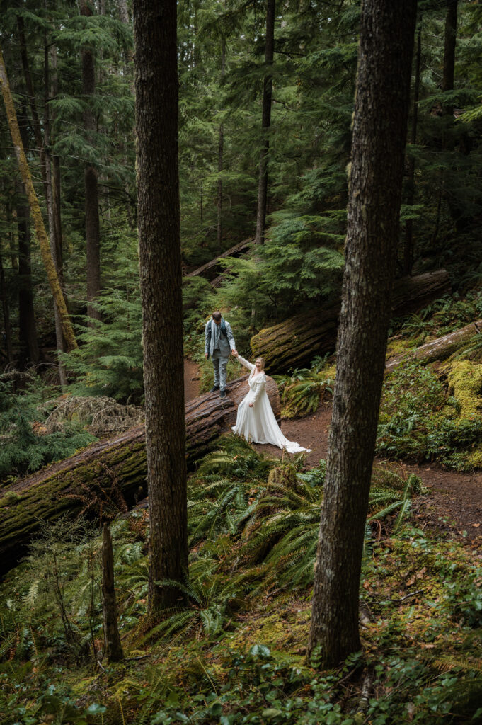 bride and groom hiking through the forest on a moody elopement day in Olympic National Park