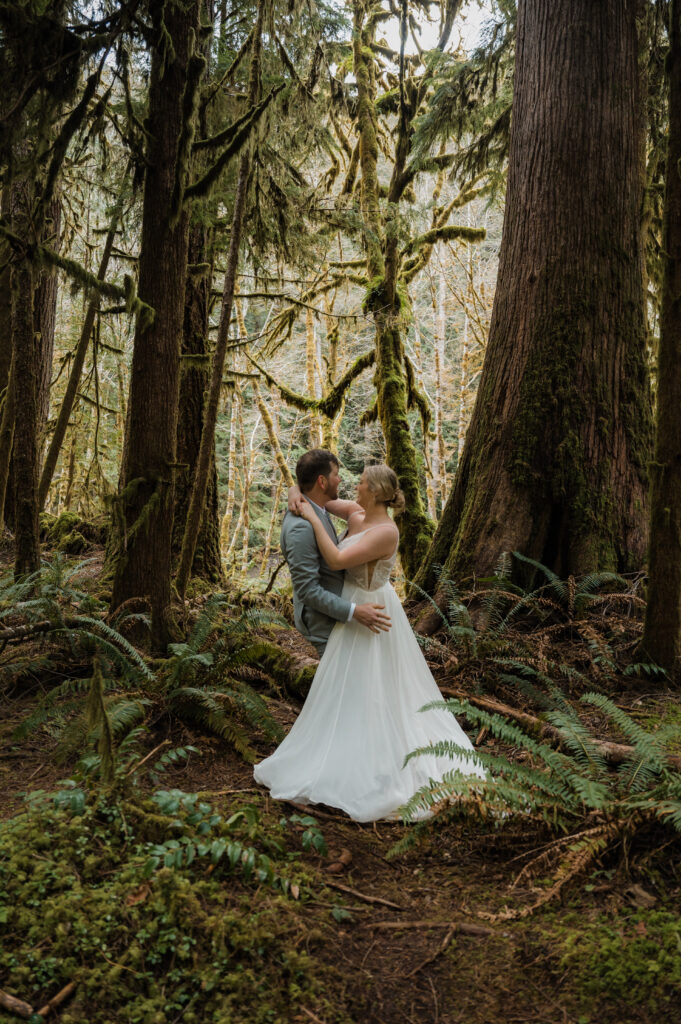 bride and groom hugging each other in the mossy trees and ferns in Olympic National Park