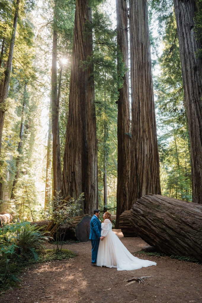 Bride and groom elopement portraits in a redwood forest