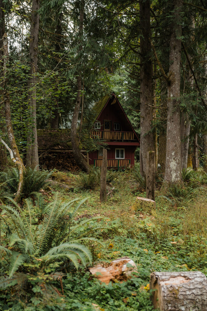 Cabin in Ashford