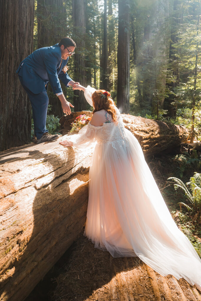 Man helps woman up a downed redwood tree