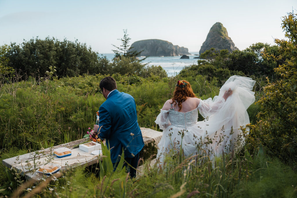 Bride and groom have a picnic near Whaleshead Beach