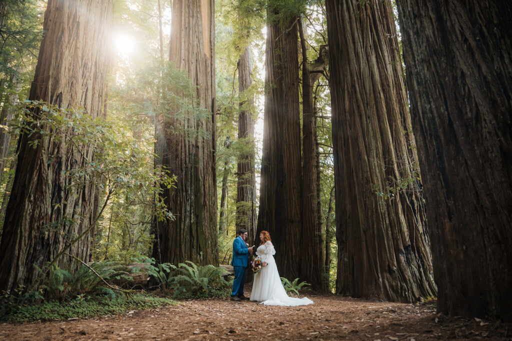 Bride and groom read their private vows in Redwood National Park