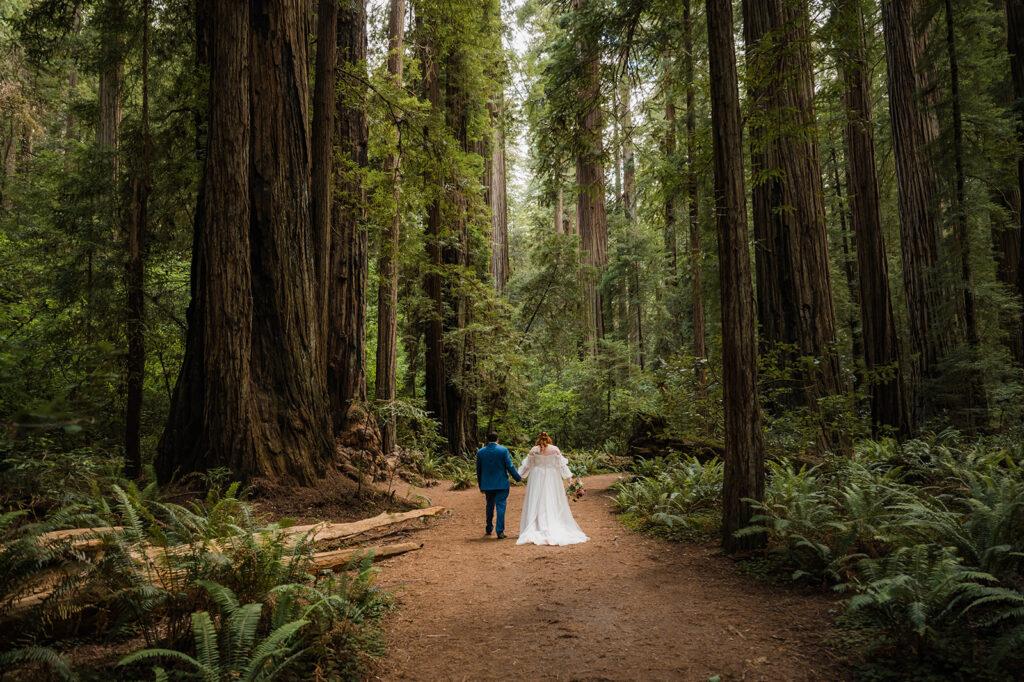 Couple looks up at the towering trees before their Redwood National Park elopement ceremony