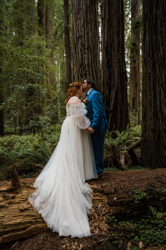 Couple stands together on the stump of a redwood