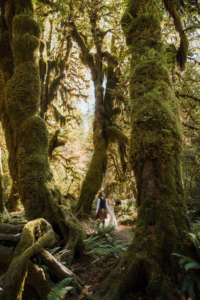 Bride and groom take portraits the Hoh Rainforest Hall of Mosses