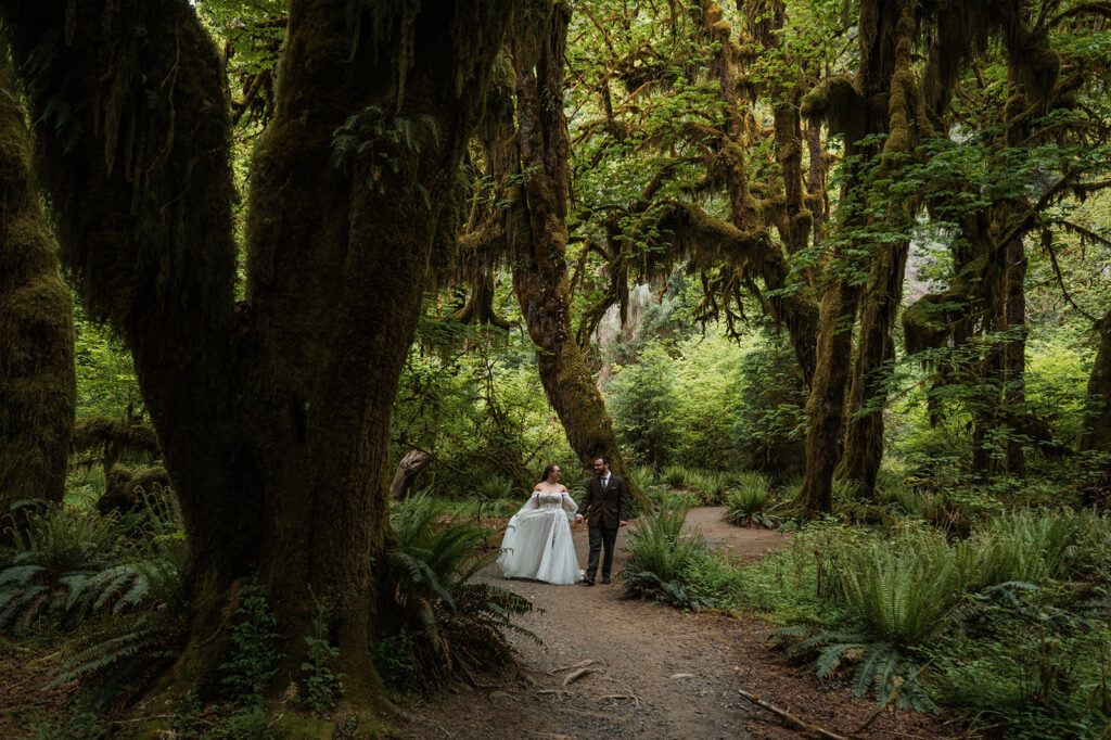Bride and groom walking through the moss-covered Hoh Rainforest, with sunlight filtering through tall trees