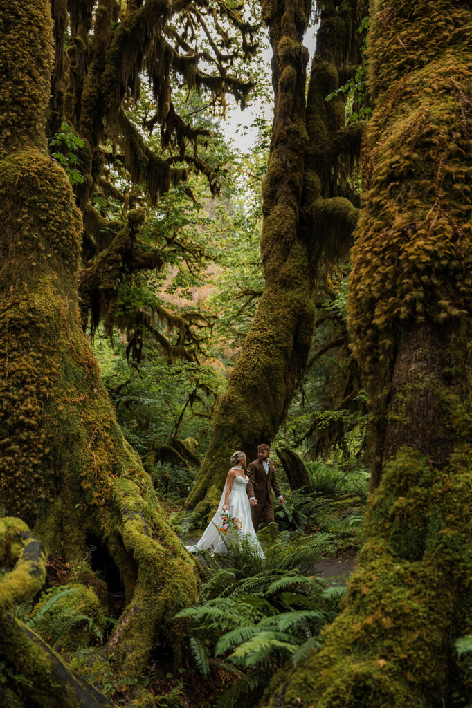 bride and groom walking through the mossy forest, surrounded by ferns during their elopement day at the Hoh Rainforest