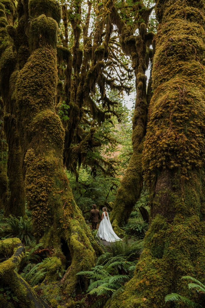 bride and groom walking through the Hoh Rainforest on their PNW elopement day